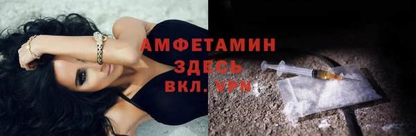 сатива Алексеевка