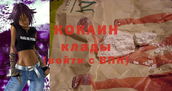 шишки Куйбышев
