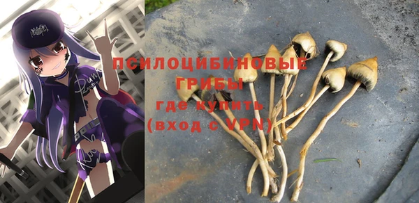 тгк Абдулино
