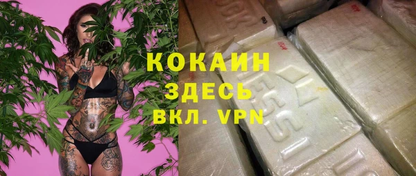 ПСИЛОЦИБИНОВЫЕ ГРИБЫ Абаза