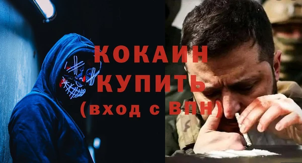 ПСИЛОЦИБИНОВЫЕ ГРИБЫ Абаза