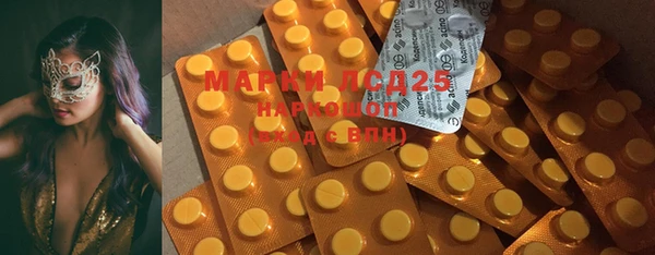 ПСИЛОЦИБИНОВЫЕ ГРИБЫ Абаза