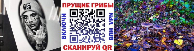 Галлюциногенные грибы Cubensis  Ковдор 